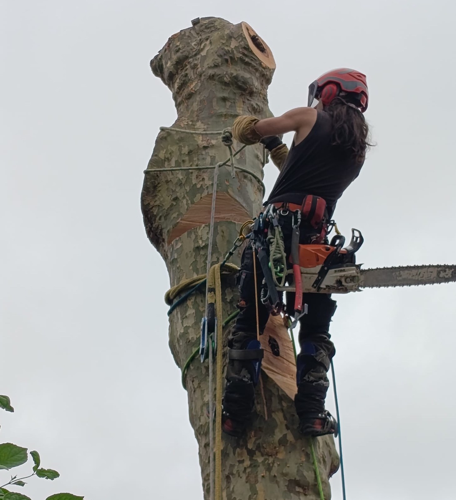 Création d'allées de jardin carrossable en pavés, dalles et graviers stabilisés avec un artisan à Montivilliers