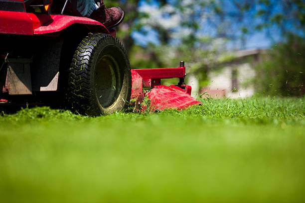 Contrat d'entretien de jardin / espaces verts 2026 avec un jardinier paysagiste  Le Havre