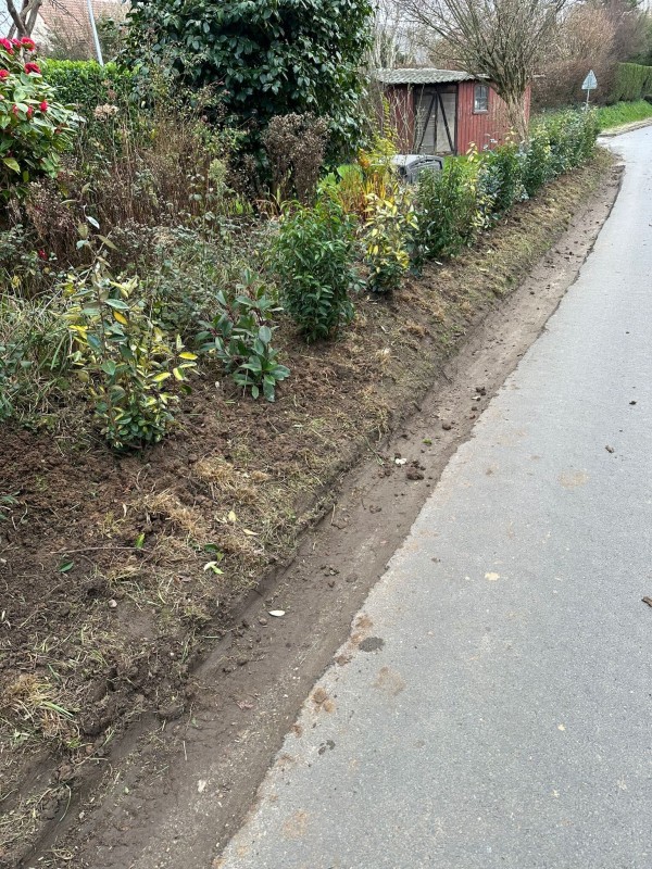 Création et plantation d'une haie persistante en limite de propriété au Havre