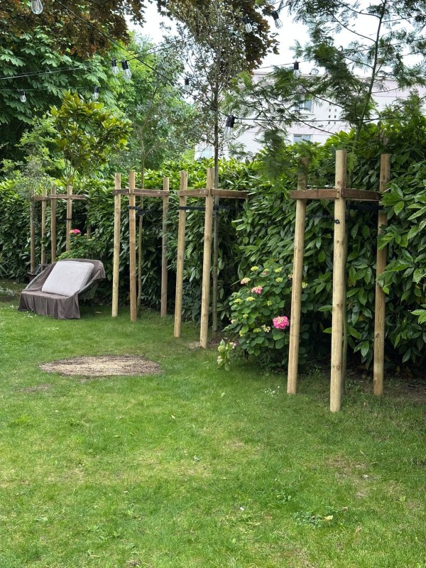 Aménagement de jardin au Havre : Plantation d'arbres tiges persistants avec tuteurage tripode