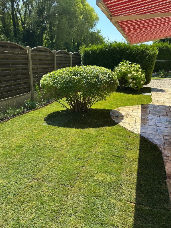 Aménagement d'un gazon de placage avec bordures bois azobé au Havre