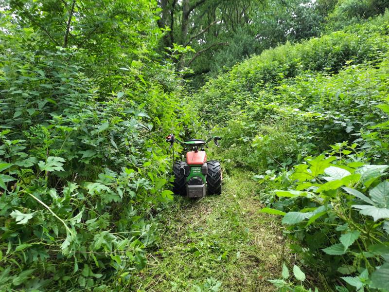 Gestion forestière au Havre : Experts en élagage, débroussaillage et réhabilitation de forêt