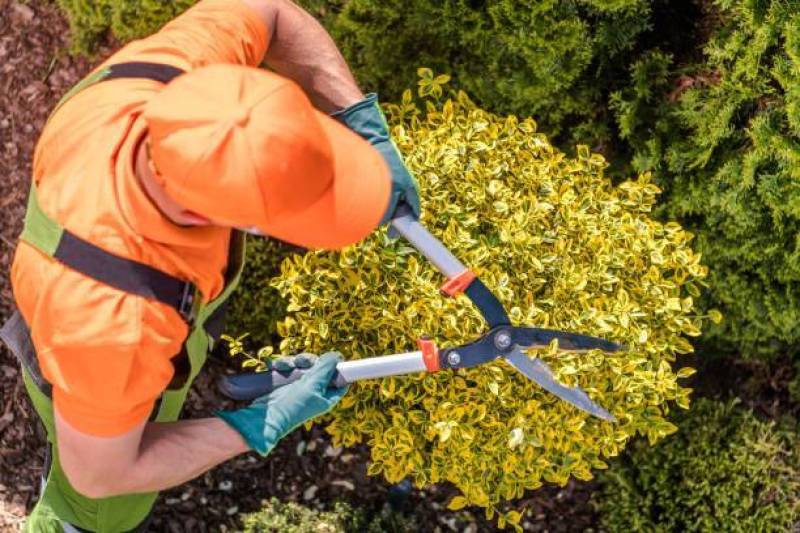 Entretien de jardin de 100m2 Le Havre avec tonte de pelouse, taille de haies, désherbage, élagage et nettoyage des allées