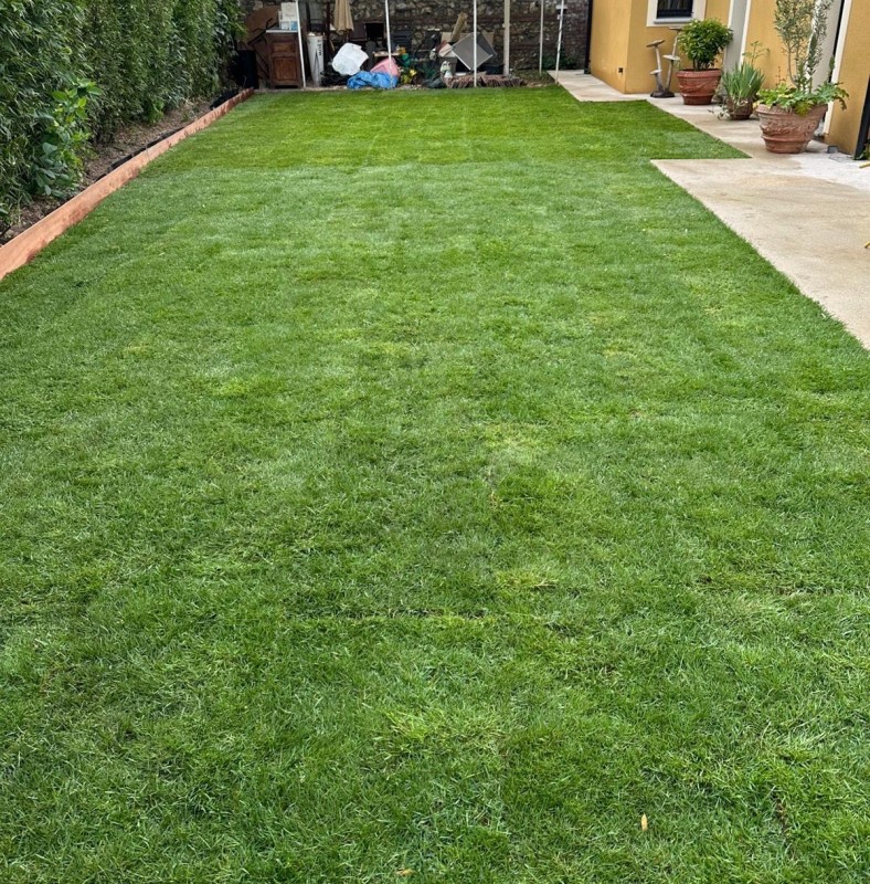 Gazon de placage au Havre : quelle entreprise contacter ?