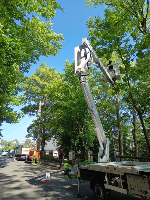 Elagage par nacelle avec taille d'allègement des branches basses pour sécuriser des lignes électriques au Havre