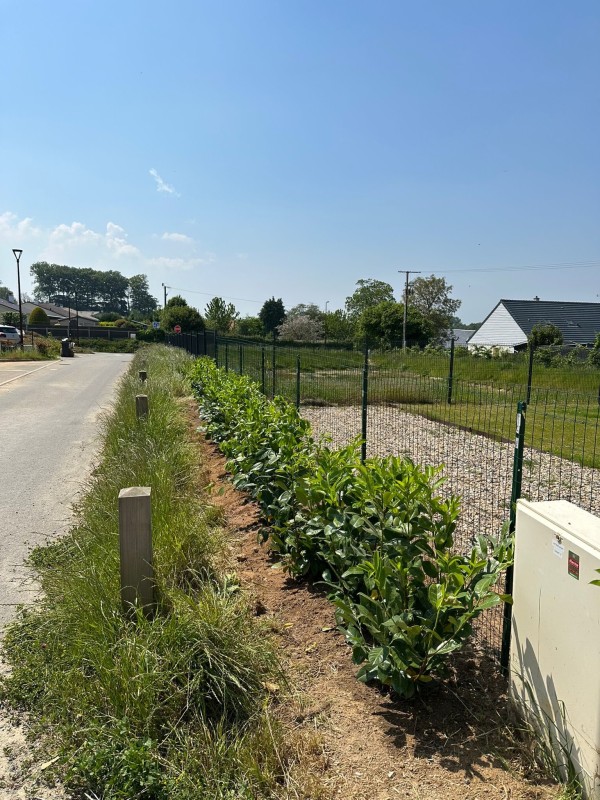 PJS - Espaces verts - Pose d'une clôture et plantation d'une allée de Lauriers aux alentours de Havre