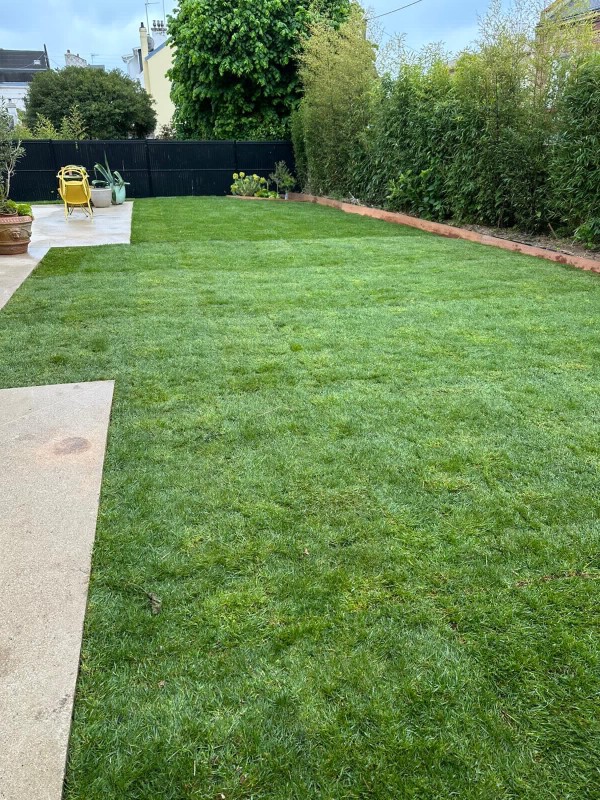 PJS Espaces verts - Aménagement d'un gazon de placage au Havre